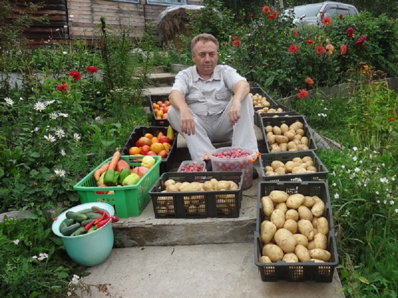 Грядки-короба, высокие грядки! Чтобы урожай был богатым даже на самой паршивой земле, нужно…