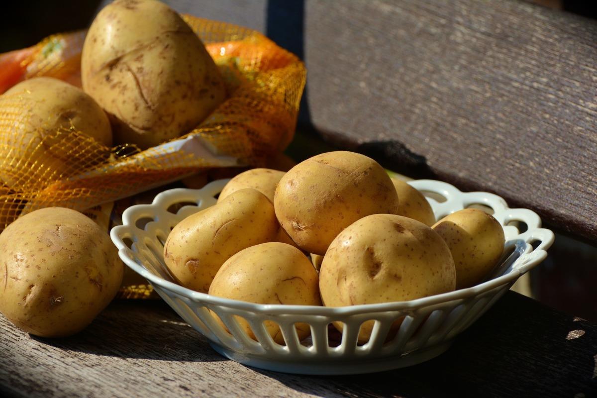 Сажаем картофель по-новому — советы Г.Кизимы