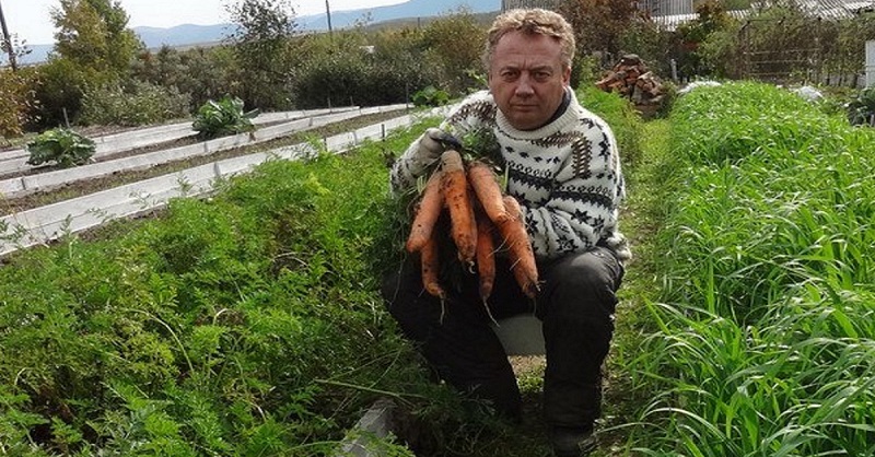 Грядки-короба, высокие грядки! Чтобы урожай был богатым даже на самой паршивой земле, нужно…