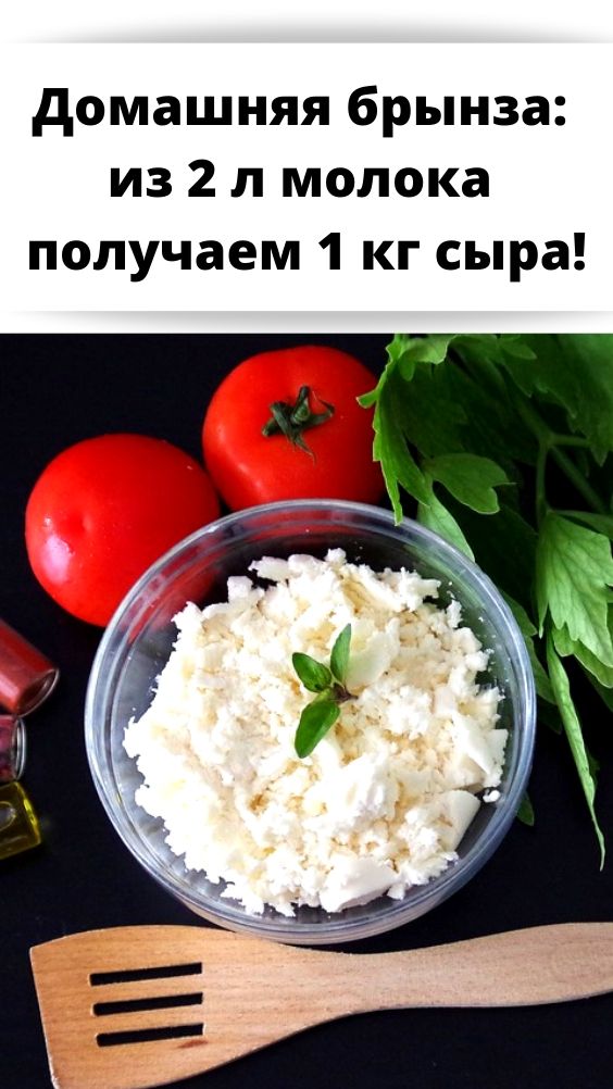 Домашняя брынза: из 2 л молока получаем 1 кг сыра!