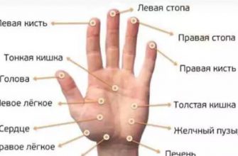 Нажмите на эти точки на ладони и ждите — результаты поразят Вас!