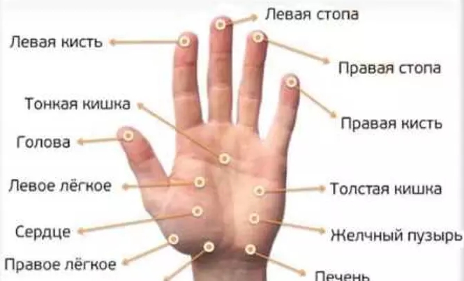 Нажмите на эти точки на ладони и ждите — результаты поразят Вас!