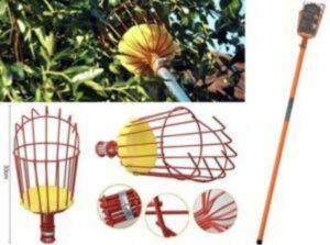 Дачные хитрости: 20 приспособлений, которые реально облегчат жизнь ...