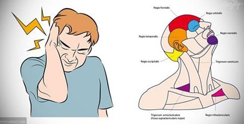 Болит ли голова после. Стресс головная боль. Стрессовая боль в голове. Область головной боли при стрессе.