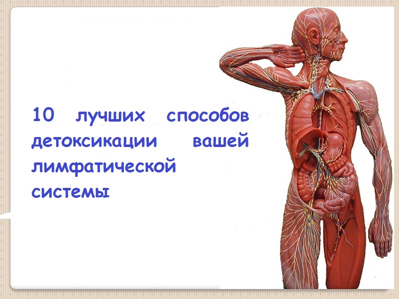 Вашего организма. 10 Организмов. Детоксикация Мойсенко.