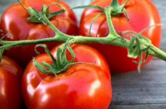Польза для здоровья от употребления помидоров